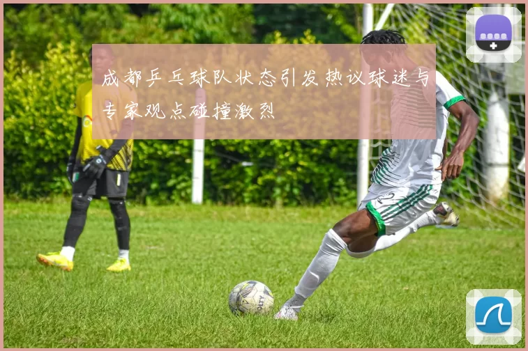 成都乒乓球队状态引发热议球迷与专家观点碰撞激烈