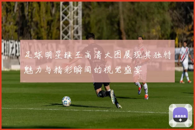 足球明星猴王高清大图展现其独特魅力与精彩瞬间的视觉盛宴