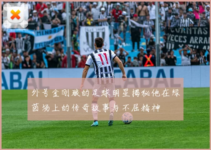 外号金刚狼的足球明星揭秘他在绿茵场上的传奇故事与不屈精神