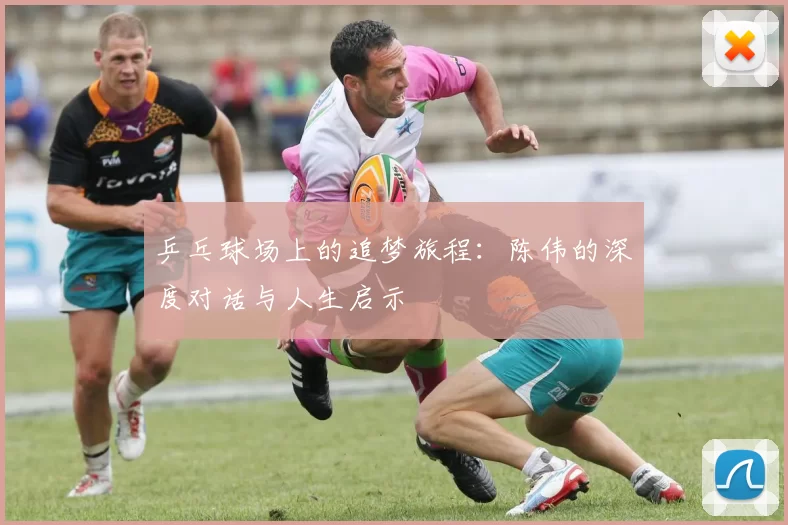 乒乓球场上的追梦旅程：陈伟的深度对话与人生启示