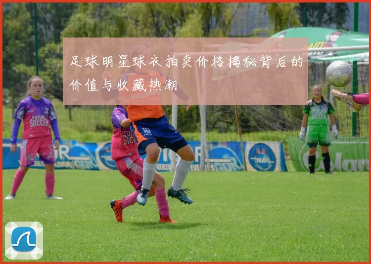 足球明星球衣拍卖价格揭秘背后的价值与收藏热潮