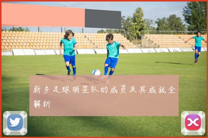 新乡足球明星队的成员及其成就全解析