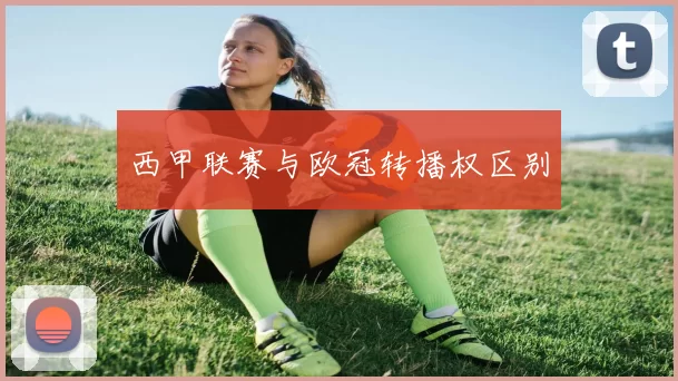 西甲联赛与欧冠转播权区别