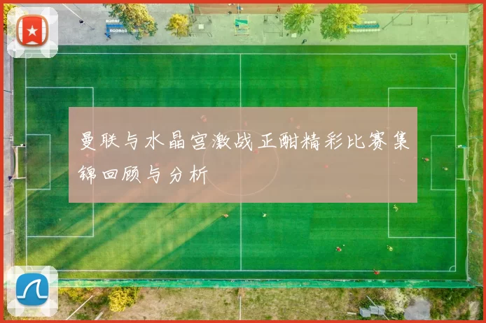 曼联与水晶宫激战正酣精彩比赛集锦回顾与分析