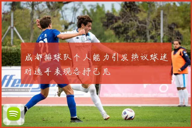 成都排球队个人能力引发热议球迷对选手表现各抒己见