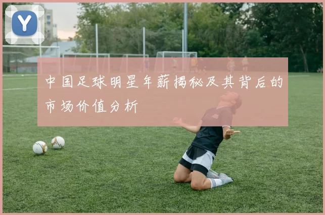 中国足球明星年薪揭秘及其背后的市场价值分析