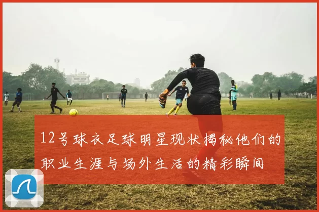 12号球衣足球明星现状揭秘他们的职业生涯与场外生活的精彩瞬间