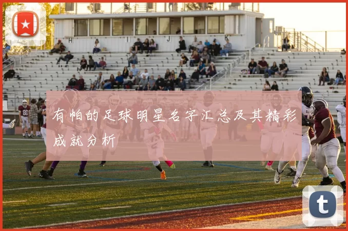 有帕的足球明星名字汇总及其精彩成就分析