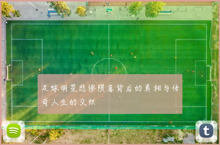 足球明星悲惨陨落背后的真相与传奇人生的交织