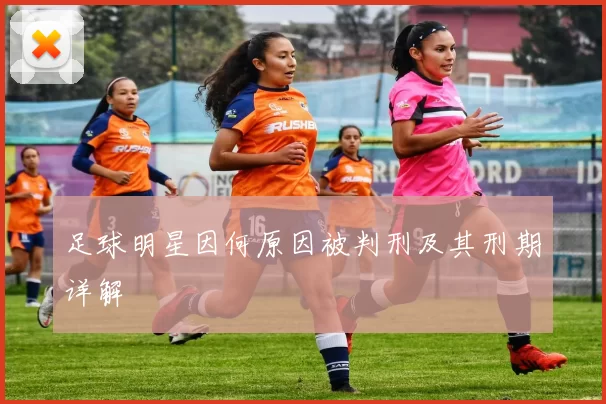 足球明星因何原因被判刑及其刑期详解
