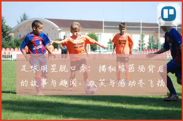 足球明星脱口秀：揭秘绿茵场背后的故事与趣闻，欢笑与感动齐飞扬