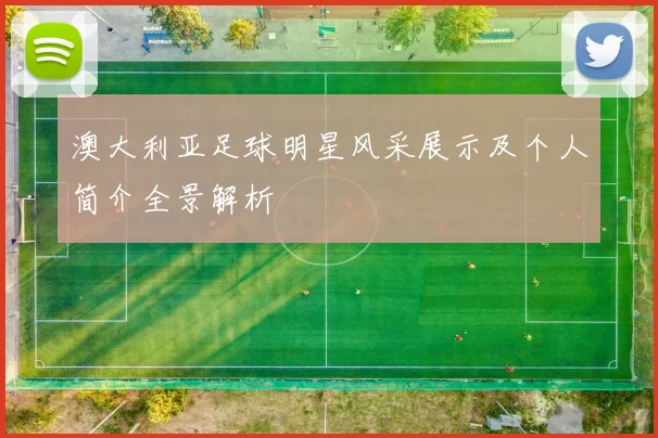 澳大利亚足球明星风采展示及个人简介全景解析